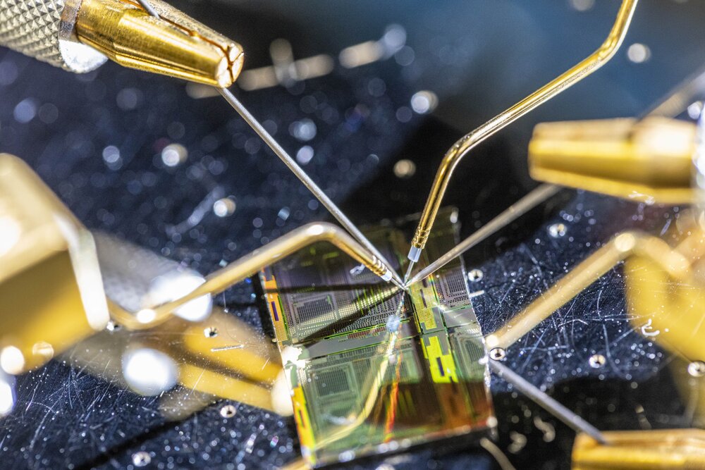 Nahaufnahme eines Mikrochip-Wafers, auf den mehrere goldfarbene Messsonden präzise ausgerichtet sind.
