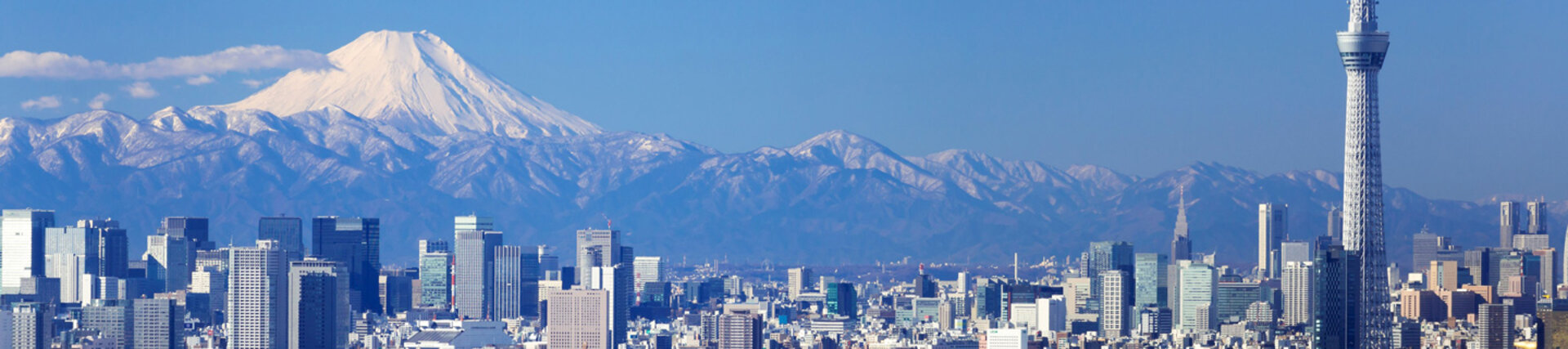 The graphic shows a bright design with a cityscape of Tokyo, skyscrapers, a tall tower and snow-capped mountains in the background.